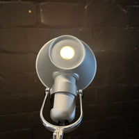 Artemide Tolomeo Lettura / Terra Stehleuchte gebraucht | Green Office Rhein-Main