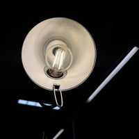 Artemide Tolomeo Lettura / Terra Stehleuchte gebraucht | Green Office Rhein-Main