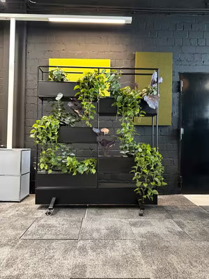 Bosse Modul Space mobile plant gebraucht