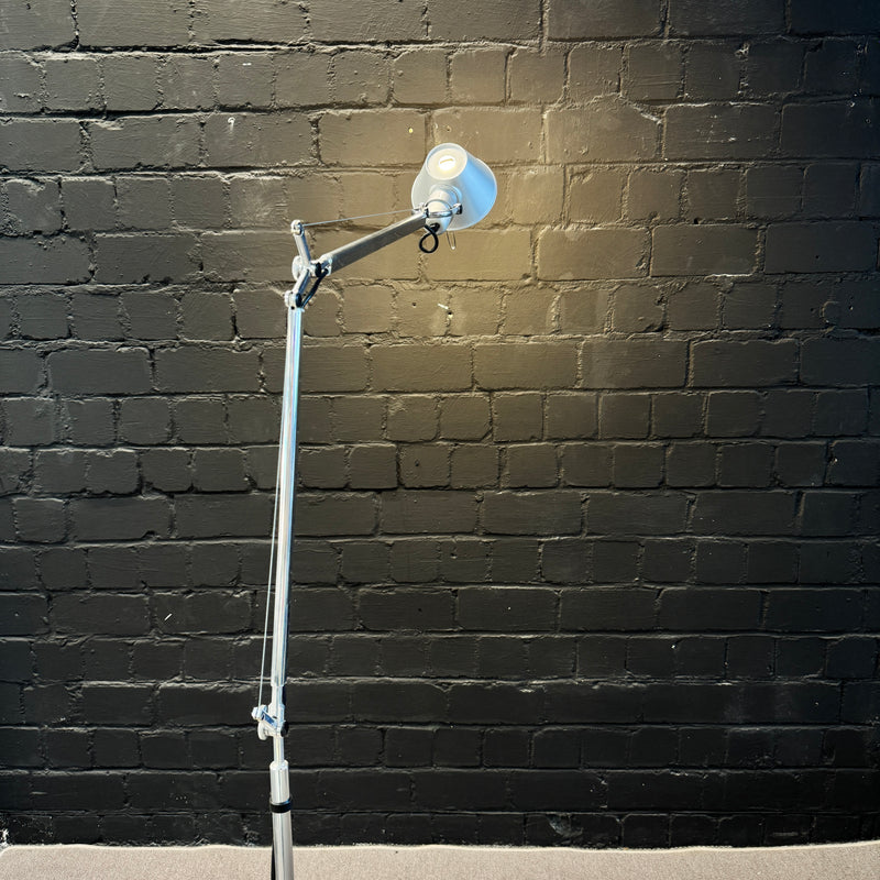 Artemide Tolomeo Lettura / Terra Stehleuchte