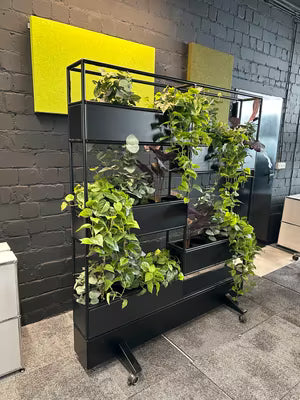 Bosse Modul Space mobile plant gebraucht - Ansicht 2